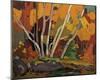 Autumn Birches-Tom Thomson-Mounted Giclee Print