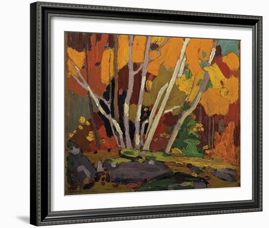 Autumn Birches-Tom Thomson-Framed Giclee Print