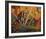 Autumn Birches-Tom Thomson-Framed Giclee Print