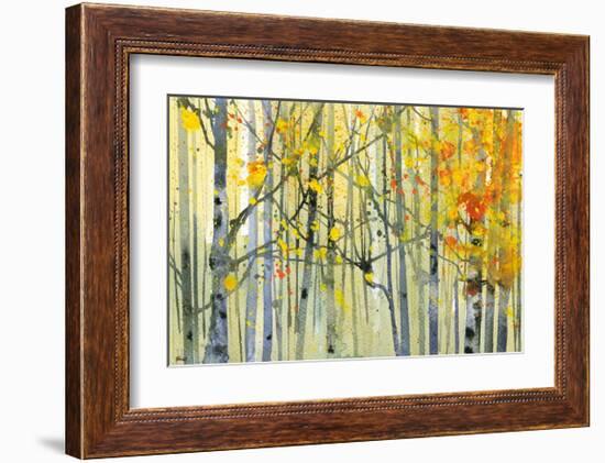 Autumn Birches-Paul Bailey-Framed Art Print