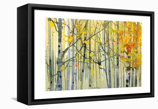Autumn Birches-Paul Bailey-Framed Stretched Canvas