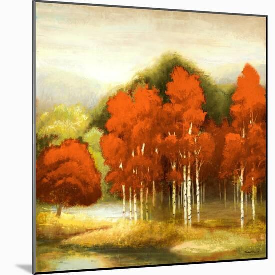 Autumn Birchwood I-Michael Marcon-Mounted Art Print