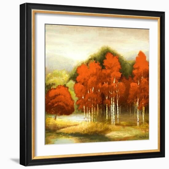 Autumn Birchwood I-Michael Marcon-Framed Art Print