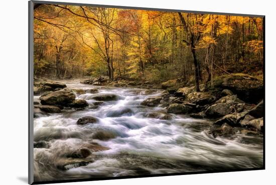 Autumn Bliss-Danny Head-Mounted Photographic Print