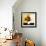 Autumn Blooms 4-Monestier-Framed Giclee Print displayed on a wall