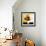 Autumn Blooms 4-Monestier-Framed Giclee Print displayed on a wall