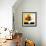 Autumn Blooms 4-Monestier-Framed Giclee Print displayed on a wall