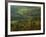 Autumn, Blue Ridge Parkway, Virginia, USA-Charles Gurche-Framed Photographic Print