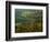 Autumn, Blue Ridge Parkway, Virginia, USA-Charles Gurche-Framed Photographic Print