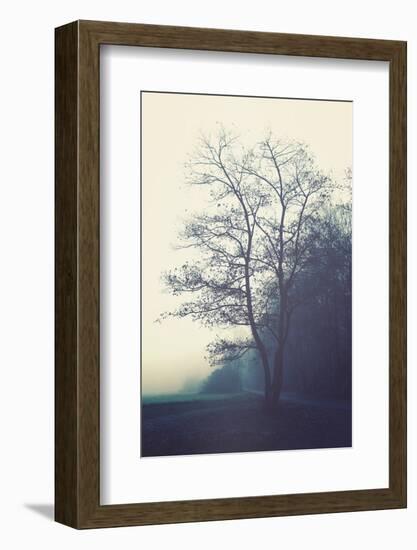 Autumn Blues-Philippe Sainte-Laudy-Framed Photographic Print