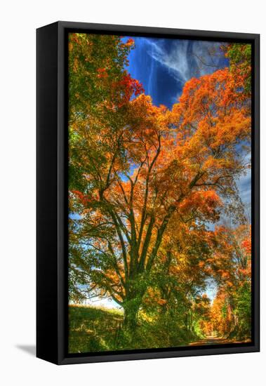 Autumn Borden Road Vertical-Robert Goldwitz-Framed Premier Image Canvas