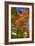 Autumn Borden Road Vertical-Robert Goldwitz-Framed Photographic Print