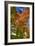 Autumn Borden Road Vertical-Robert Goldwitz-Framed Photographic Print