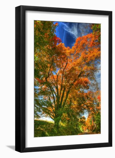 Autumn Borden Road Vertical-Robert Goldwitz-Framed Photographic Print