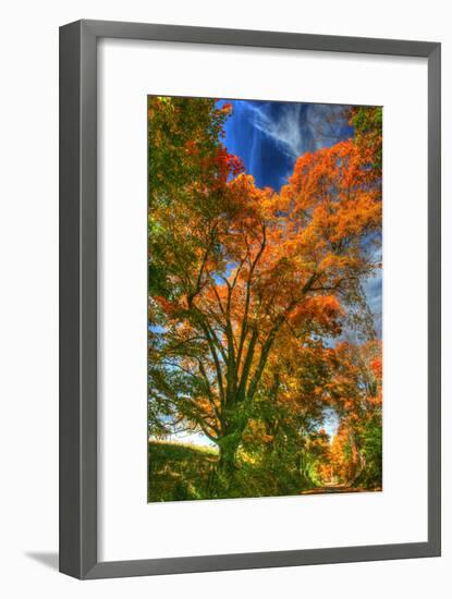 Autumn Borden Road Vertical-Robert Goldwitz-Framed Photographic Print