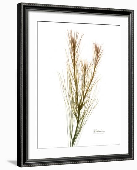 Autumn Botanical-Albert Koetsier-Framed Photo