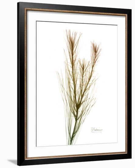 Autumn Botanical-Albert Koetsier-Framed Photo