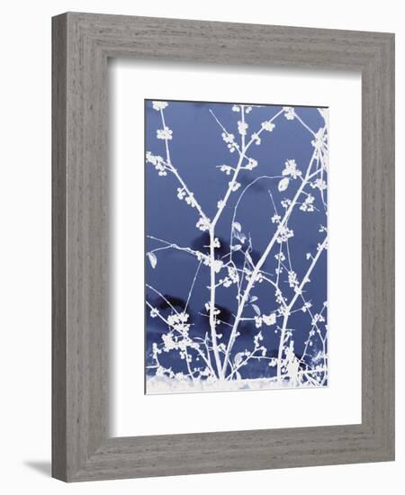 Autumn Branch (blue)-Jenny Kraft-Framed Art Print