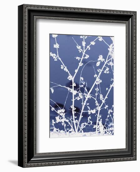 Autumn Branch (blue)-Jenny Kraft-Framed Art Print