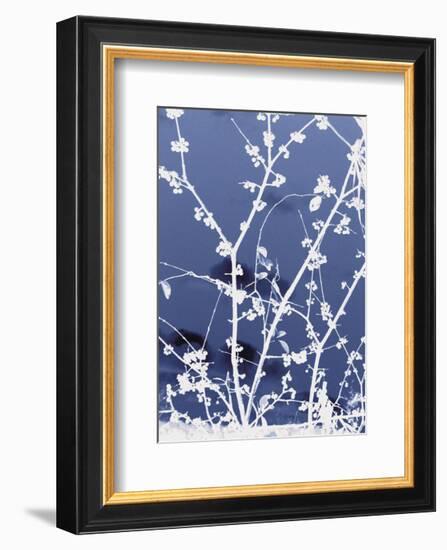 Autumn Branch (blue)-Jenny Kraft-Framed Art Print