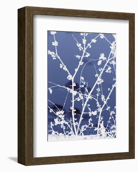 Autumn Branch (blue)-Jenny Kraft-Framed Art Print