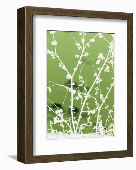 Autumn Branch (green)-Jenny Kraft-Framed Art Print