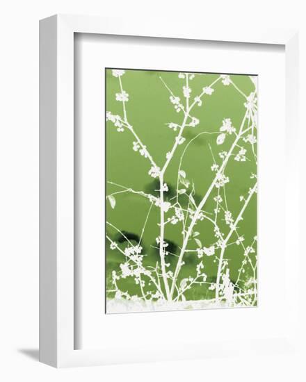 Autumn Branch (green)-Jenny Kraft-Framed Art Print