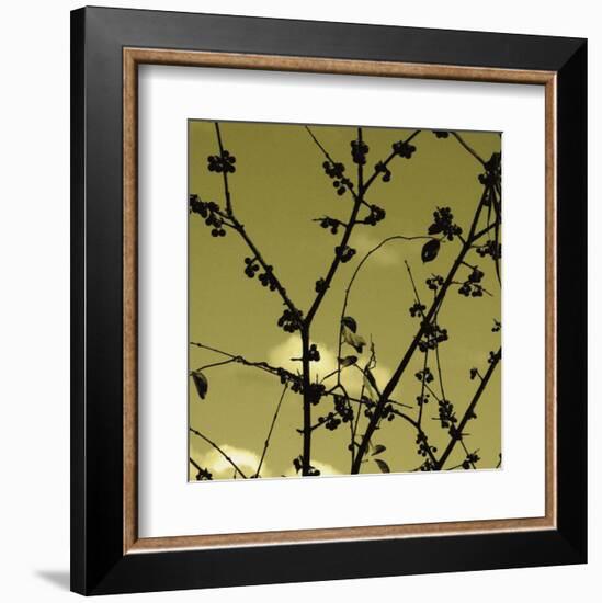 Autumn Branch (sepia) (detail)-Jenny Kraft-Framed Art Print