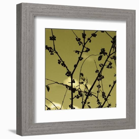 Autumn Branch (sepia) (detail)-Jenny Kraft-Framed Art Print