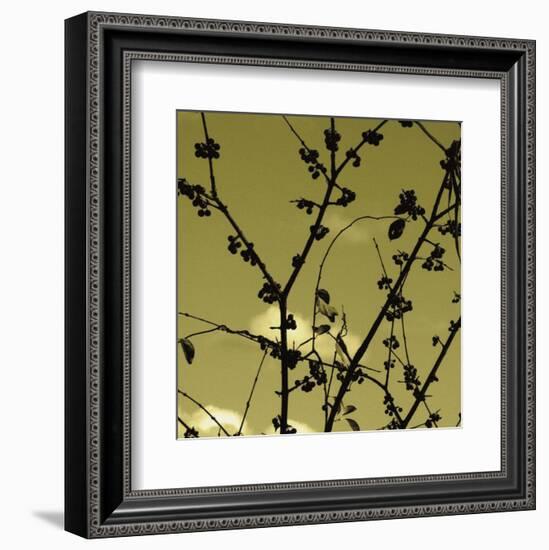 Autumn Branch (sepia) (detail)-Jenny Kraft-Framed Art Print