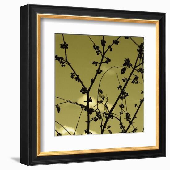 Autumn Branch (sepia) (detail)-Jenny Kraft-Framed Art Print