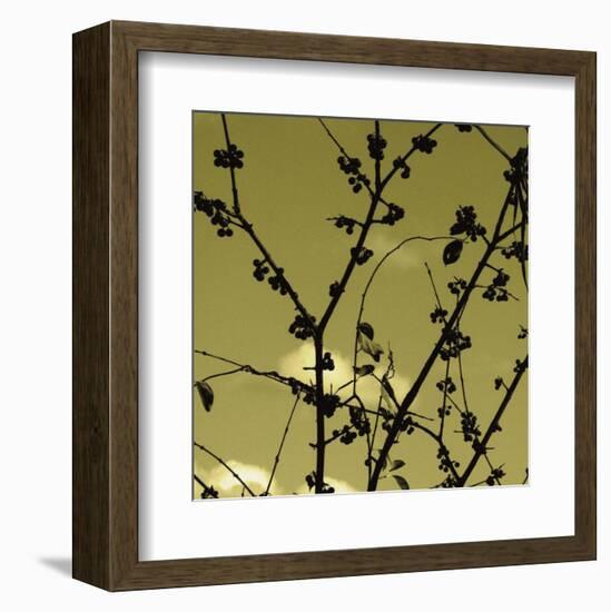 Autumn Branch (sepia) (detail)-Jenny Kraft-Framed Art Print