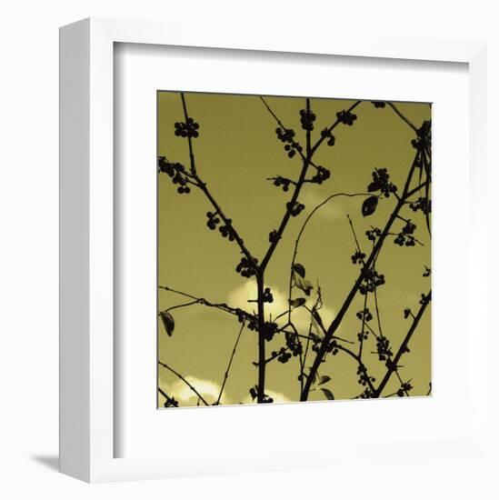 Autumn Branch (sepia) (detail)-Jenny Kraft-Framed Art Print