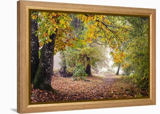 Autumn Break under the Trees-Philippe Manguin-Framed Premier Image Canvas