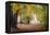 Autumn Break under the Trees-Philippe Manguin-Framed Premier Image Canvas