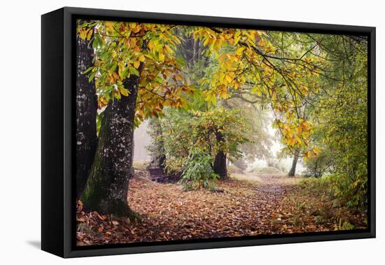 Autumn Break under the Trees-Philippe Manguin-Framed Premier Image Canvas