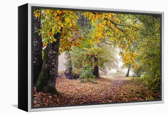 Autumn Break under the Trees-Philippe Manguin-Framed Premier Image Canvas