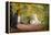 Autumn Break under the Trees-Philippe Manguin-Framed Premier Image Canvas