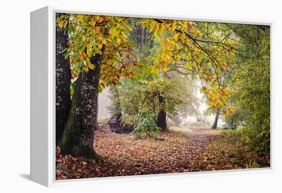 Autumn Break under the Trees-Philippe Manguin-Framed Premier Image Canvas