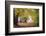 Autumn Break under the Trees-Philippe Manguin-Framed Photographic Print