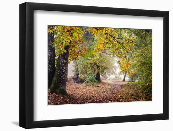 Autumn Break under the Trees-Philippe Manguin-Framed Photographic Print