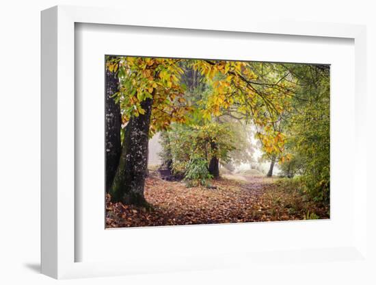 Autumn Break under the Trees-Philippe Manguin-Framed Photographic Print