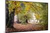 Autumn Break under the Trees-Philippe Manguin-Mounted Photographic Print