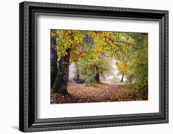 Autumn Break under the Trees-Philippe Manguin-Framed Photographic Print