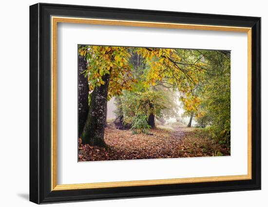 Autumn Break under the Trees-Philippe Manguin-Framed Photographic Print