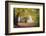 Autumn Break under the Trees-Philippe Manguin-Framed Photographic Print