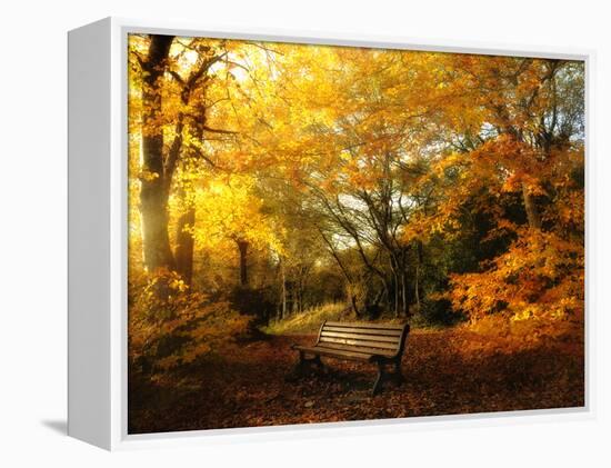 Autumn Break-Philippe Manguin-Framed Premier Image Canvas