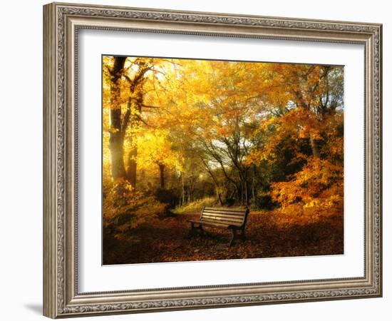 Autumn Break-Philippe Manguin-Framed Photographic Print