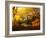 Autumn Break-Philippe Manguin-Framed Photographic Print