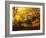 Autumn Break-Philippe Manguin-Framed Photographic Print